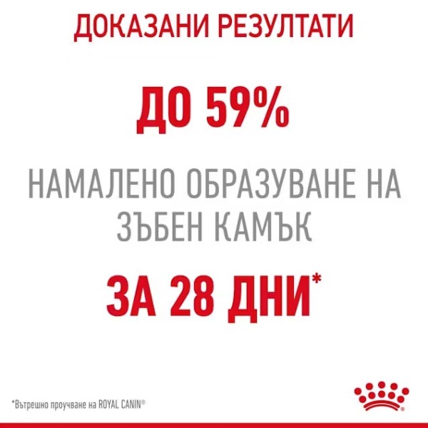 Royal Canin Cat Dental Care - Пълноценна суха храна за котки за намаляване образуването на зъбен камък